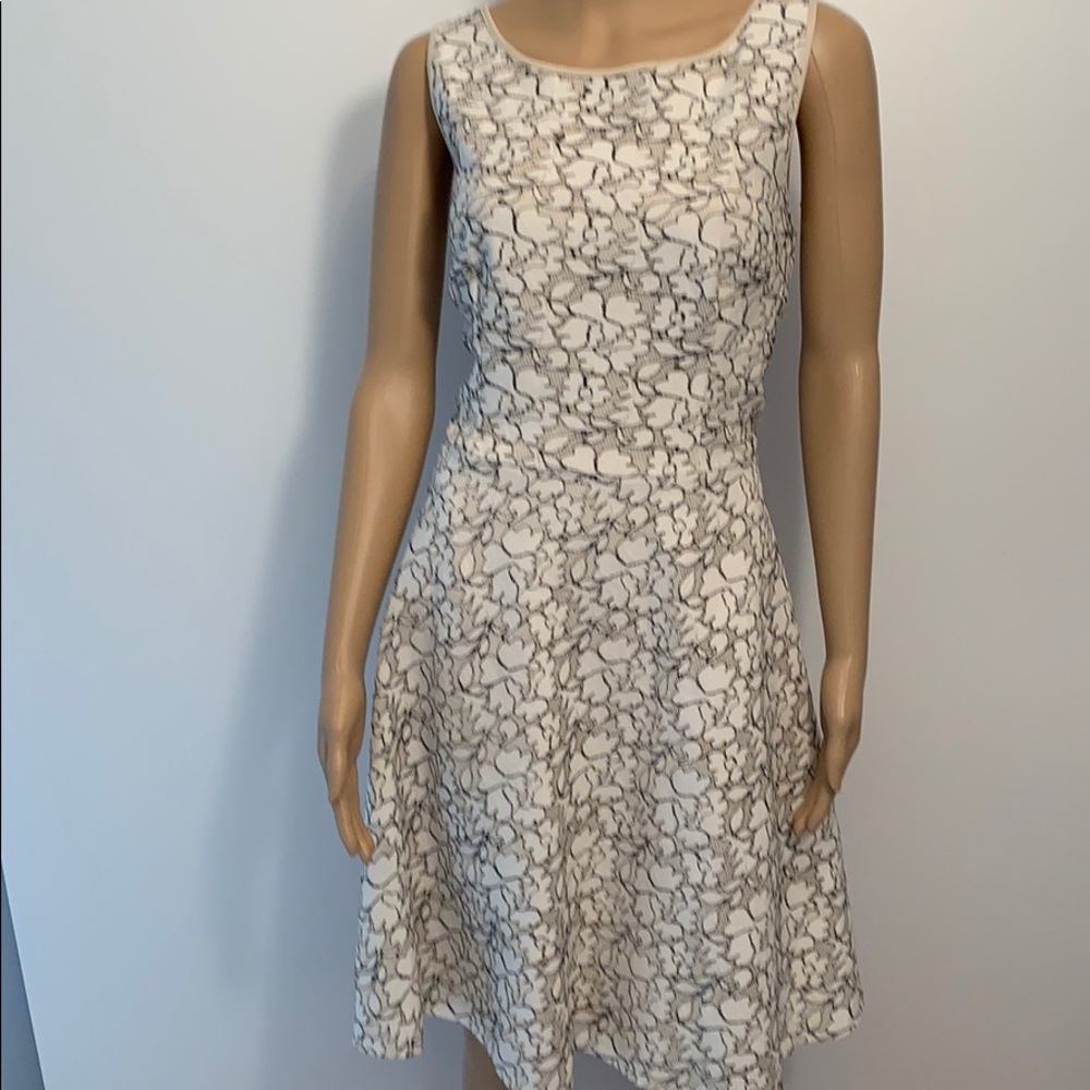 Betsy Johnson Dress Size 12